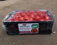 Prestige Fresh Tomatoes - 2