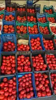 Prestige Fresh Tomatoes - 5
