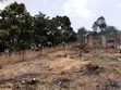 Two Plots of Land for Sale, Amomole - 2