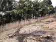 Two Plots of Land for Sale, Amomole - 4