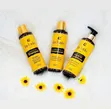 Jayfanks Shea Butter Body Butter & Hair Products - 3
