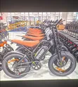 Electric Fat Tire Bike - Brand New - 4