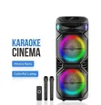 TTD-1515 Portable Bluetooth Speaker with Karaoke Microphone - Black - 1