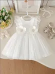 Beautiful Baby Girl Dress - 1