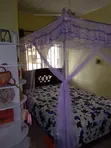 Luxurious Canopy Mosquito Net - 5