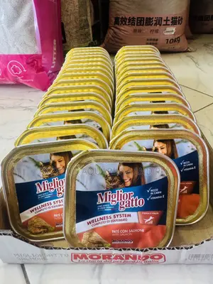 Miglior Cat Food for Kittens and Adults