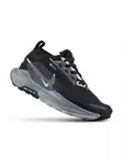 Nike Pegasus Trail 5 GORE-TEX - 1