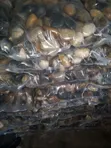Polished Stone Pebbles - 20kg Bag - 3