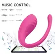 App Controlled Vibrator - 2