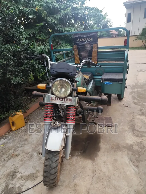 2023 Tricycle - Green - 1