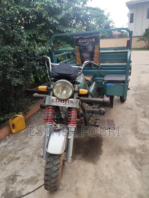 2023 Tricycle - Green