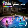 Multi-Color Pool Light Full Set (18W, 12V) - 2
