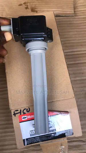 Ford Scape, Fusion, and F150 Ignition Coils
