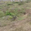 Safe Plot of Land in Borjiase - 1