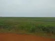 Safe Plot of Land in Borjiase - 2