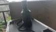 Used Follow Spot Light - 2