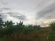 100x100 Plot of Land for Sale at Koforidua FCB Estate - 5