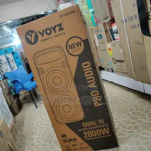 Brand New Voyz 2000W Bluetooth Portable Speaker with Microphone