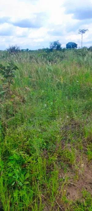 Registered Land for Sale at UHAS, Ho