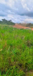 Registered Land for Sale at UHAS, Ho - 2
