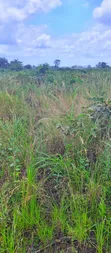 Registered Land for Sale at UHAS, Ho - 4