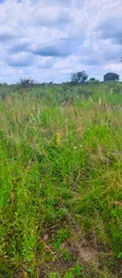 Registered Land for Sale at UHAS, Ho - 5