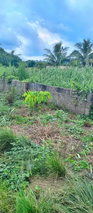 Registered Land for Sale at UHAS Roundabout, Ho