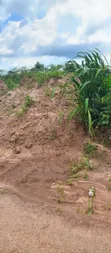 Registered Land Plots for Sale near UHAS Main Campus, Ho - 1