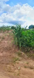 Registered Land Plots for Sale near UHAS Main Campus, Ho - 2
