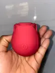 Rose Clitoral Suction Vibrator - 1
