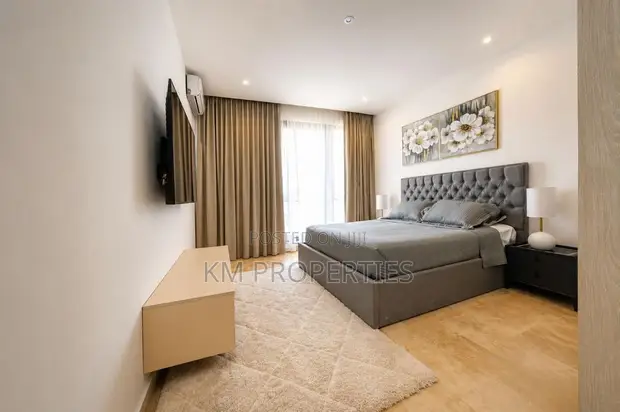 Fully-Furnished 1 Bedroom Hall in Cantonments - 1