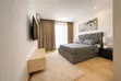 Fully-Furnished 1 Bedroom Hall in Cantonments - 1