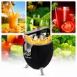Haley Electric Citrus Juicer Machine - 2