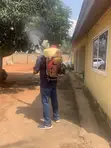 Pest Control and Fumigation Services - 3