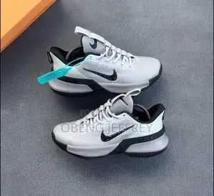 Original Nike LeBron Ambassador Grey Sneakers