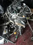 Honda Civic, Accord, Nissan Rogue, Toyota Costar Engines - 4
