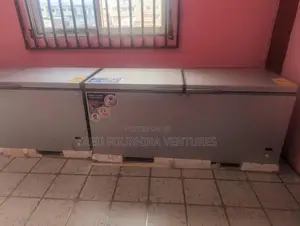 Nasco 600L Double Door Chest Freezer
