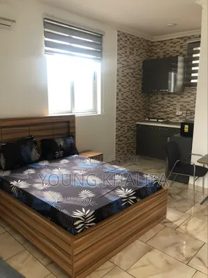 Furnished 1-Bedroom Apartment for Rent in East Airport, Tsado