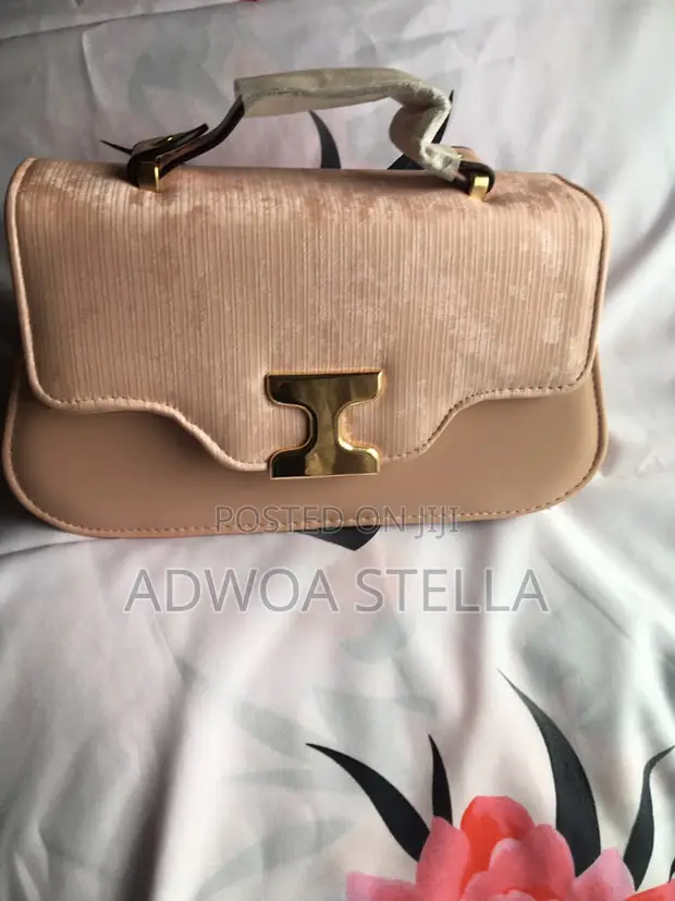 Luxury Ladies Handbag - 1