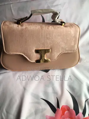 Luxury Ladies Handbag
