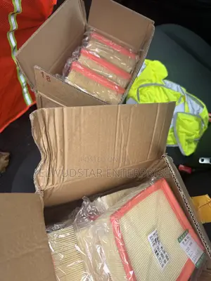 Ford Fiesta Air Filter (2012-2017)