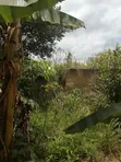 100x100m Plot of Land at Santasi Trede Mpatasie - 1