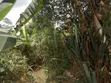 100x100m Plot of Land at Santasi Trede Mpatasie - 2