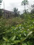 Half Plot of Land for Sale at Olebu, Accra - 4