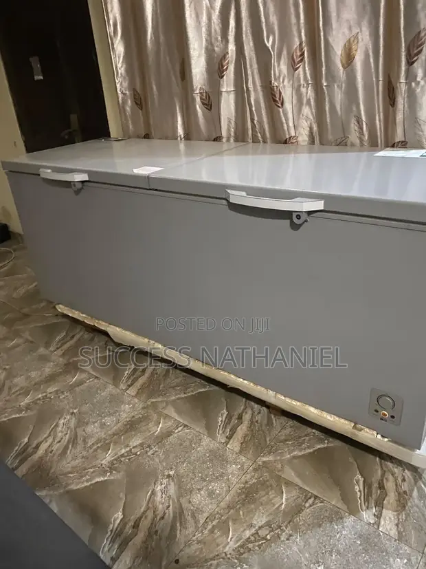 Hisense 725L Double Door Chest Freezer - 1