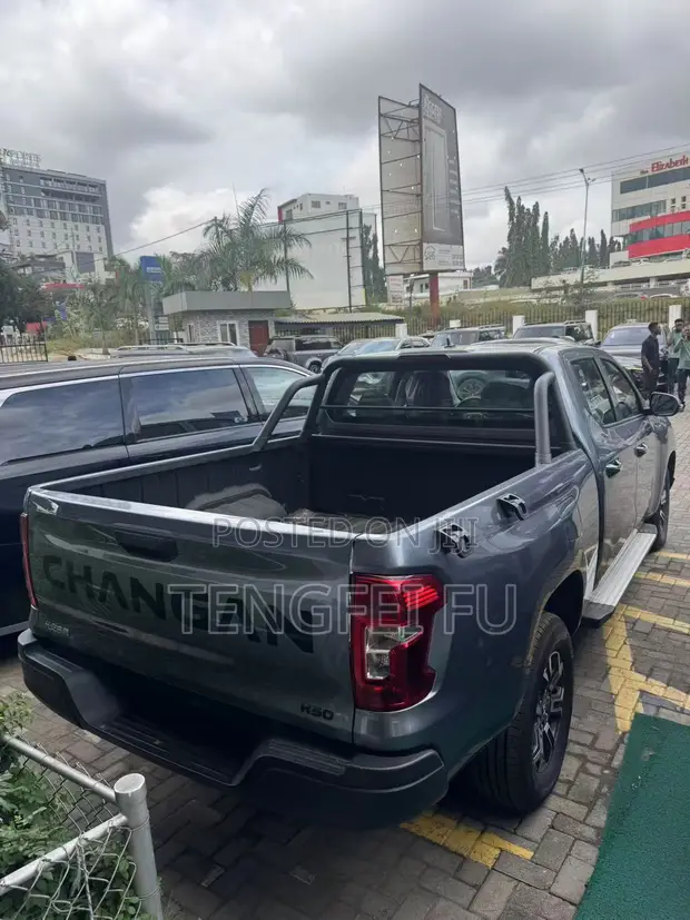 New Changan Hunter Plus 2.0 Petrol 4x4 2025 Gray - 1