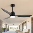 Modern 3-Blade Ceiling Fan with Light and Remote - 3