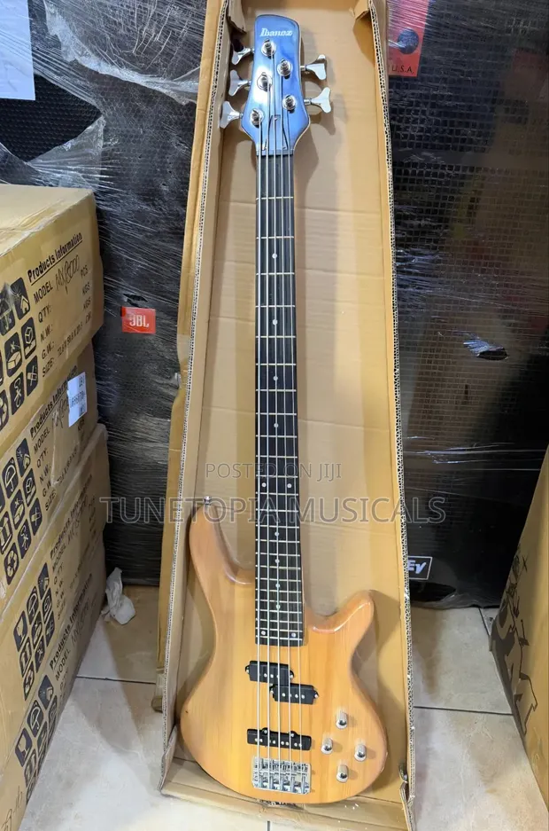Ibanez 5-String Electric Bass Guitar (Passive) - 1