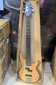 Ibanez 5-String Electric Bass Guitar (Passive) - 1