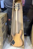 Ibanez 5-String Electric Bass Guitar (Passive) - 2